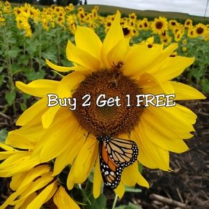 Mix and match any items. Buy 2 get 1 free!